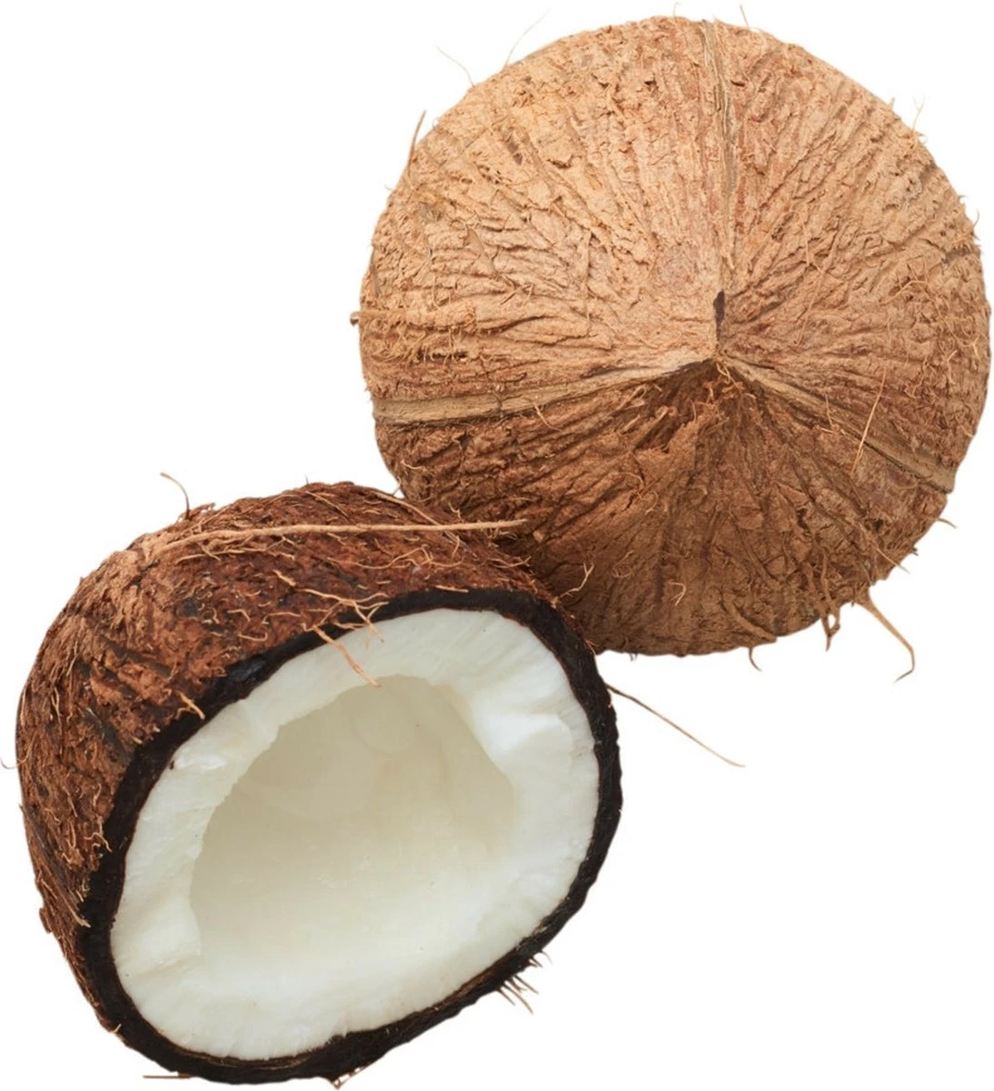 Garnier Loving Blends Conditioner - Kokosmelk & Macadamia - Droog Haar - 6 X 250 Ml - Voordeelverpakking - Afbeelding 5