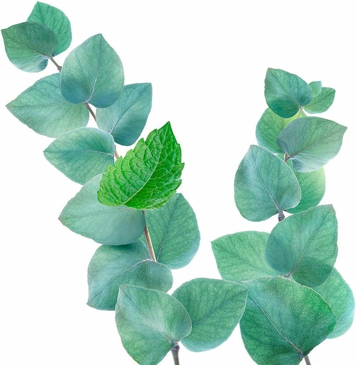 Kneipp Refreshing - Badschuim - Afbeelding 7