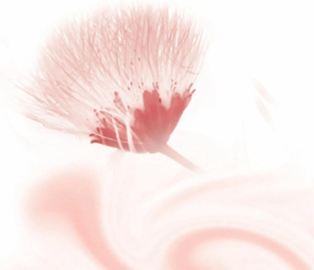 Kneipp Silky Secret - Douchegel - Afbeelding 5