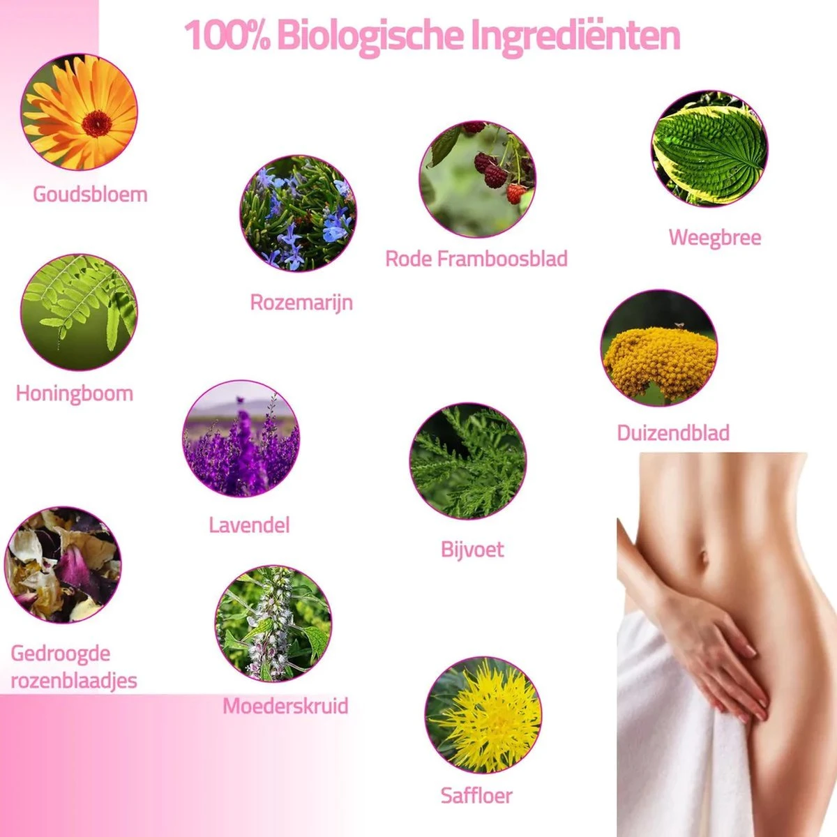 Vaginale Stoombad- Inclusief Natuurlijke Kruiden - (BPA Vrij) Vaginale Gezondheid - Helpt Tegen Geur En Schimmelinfecties - Vagina Verzorging / Reiniging - Afbeelding 4