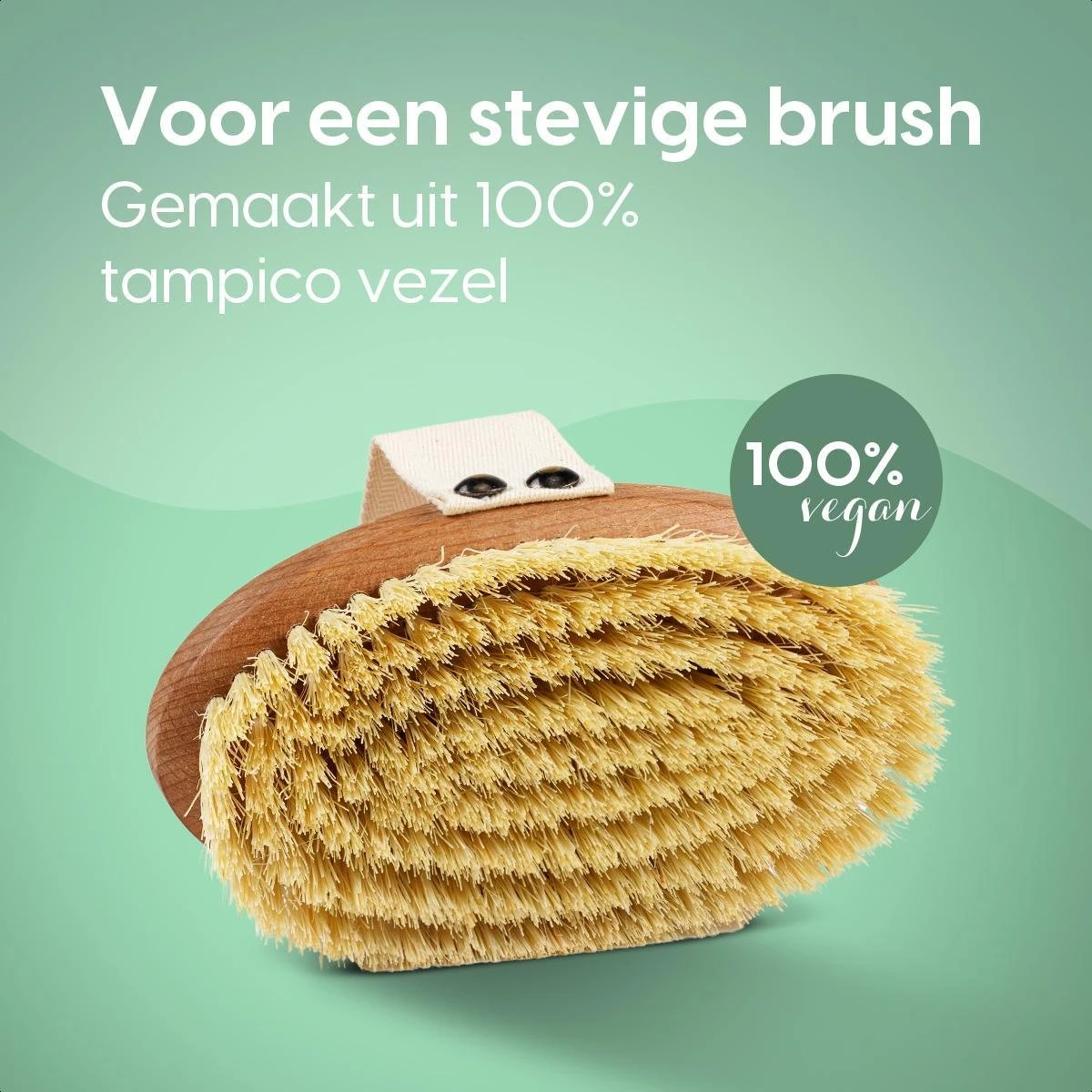 100% Vegan Lichaamsborstel - 0% Plastic - Dry Brushing Badborstel/Droogborstel/Doucheborstel/Huidborstel - Beukenhout - Afbeelding 3