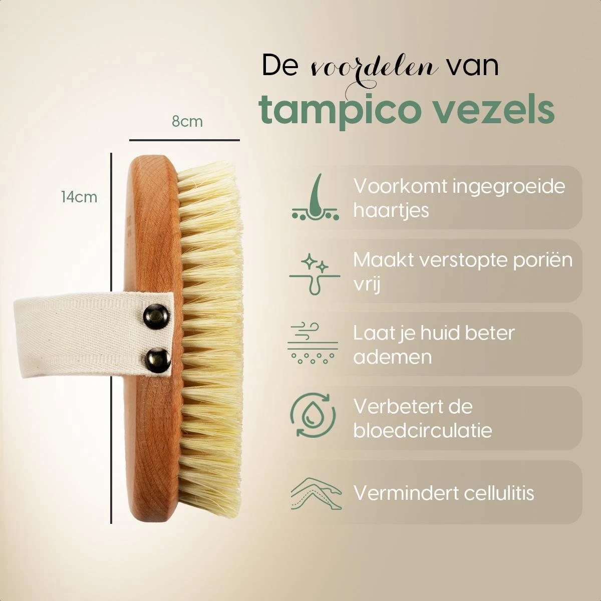 100% Vegan Lichaamsborstel - 0% Plastic - Dry Brushing Badborstel/Droogborstel/Doucheborstel/Huidborstel - Beukenhout - Afbeelding 4