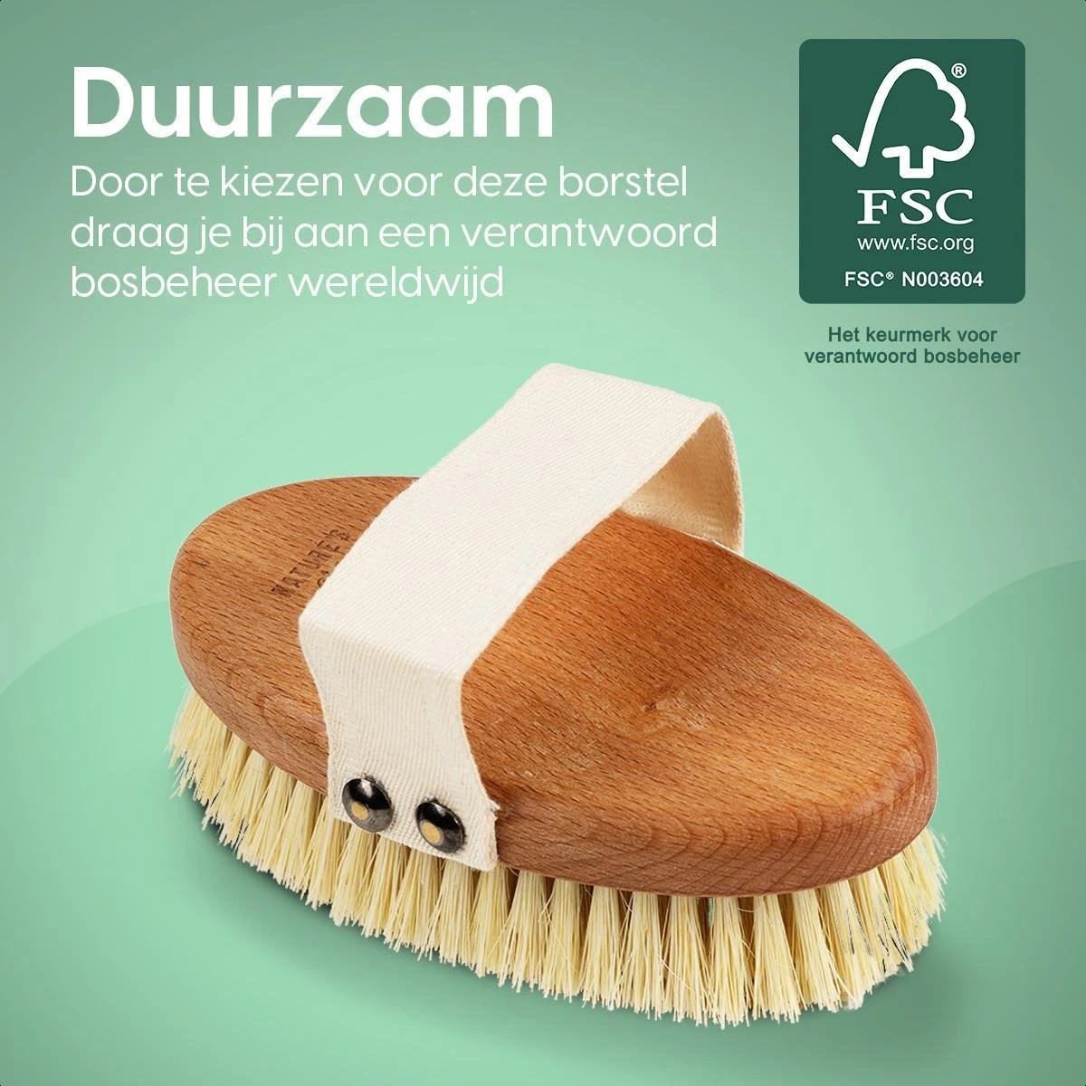100% Vegan Lichaamsborstel - 0% Plastic - Dry Brushing Badborstel/Droogborstel/Doucheborstel/Huidborstel - Beukenhout - Afbeelding 6