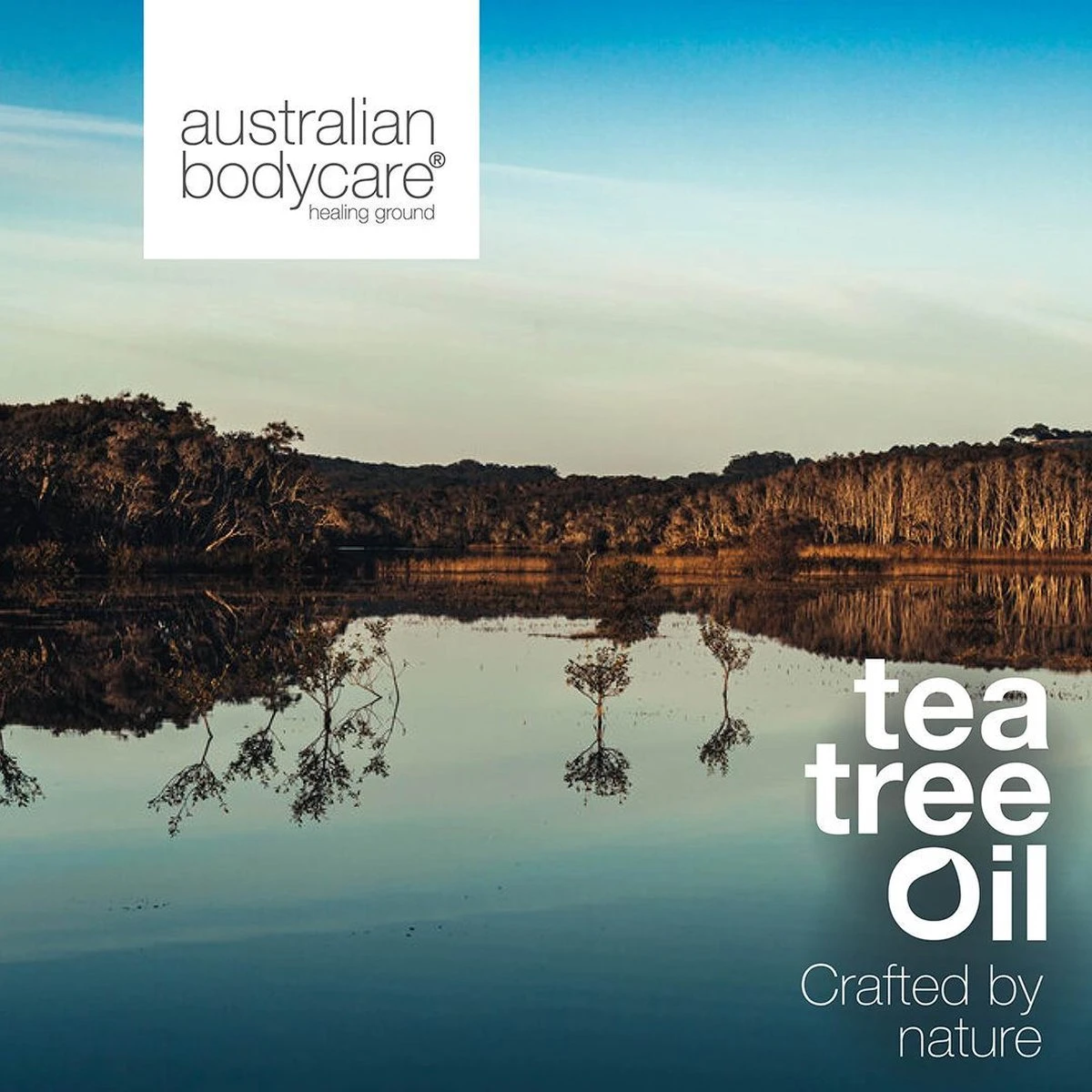 Australian Bodycare Intim Wash 500 Ml - Intieme Zeep Voor De Intieme Zone Met Tea Tree Olie - Helpt Bij Jeuk, Onaangename Geurtjes En Ander Intiem Ongemak - Effectief Tegen Rode Bultjes, Scheerbrand En Ingegroeide Haartjes Na Intiem Scheren - Afbeelding 3