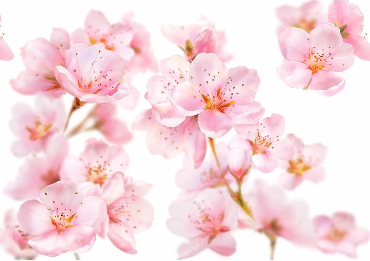 Kneipp Soft Skin - Sugar & Oil Body Scrub - Afbeelding 7