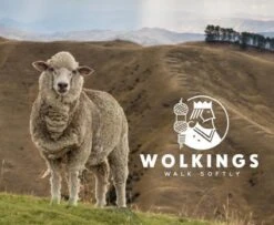 Wolkings Antidruk Merinowol 25 Gram (+5 Gram GRATIS)