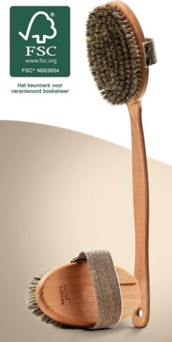 100% Natuurlijke Lichaamsborstel Met Lange Afneembare Steel - Rugborstel Badborstel Doucheborstel - Dry Brushing Huidborstel - Droogborstel - Douche
